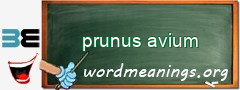WordMeaning blackboard for prunus avium